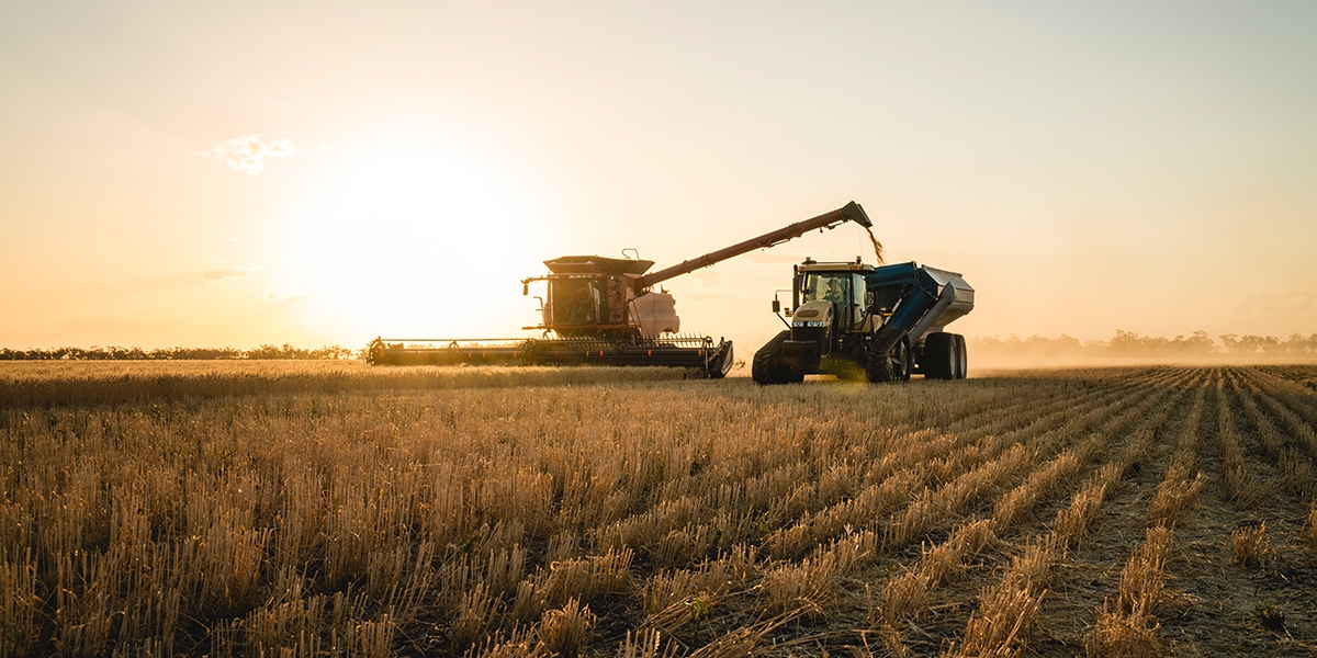 Agriculture